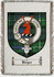 Boyce Clan Badge Throw Blanket