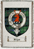 Boyes Clan Badge Throw Blanket