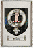 Brydie Clan Badge Throw Blanket