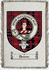 Denoon Clan Ross Clan Badge Throw Blanket