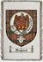 Dingwall Clan Badge Throw Blanket