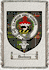 Donleavy Clan Badge Throw Blanket