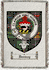 Donlevy Clan Badge Throw Blanket