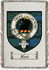 Faed Clan Badge Throw Blanket