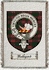 Hallyard Clan Badge Throw Blanket