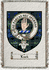 Luck Clan Badge Throw Blanket
