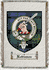 Robinson Clan Badge Throw Blanket