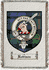 Robison Clan Badge Throw Blanket