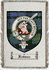 Robson Clan Badge Throw Blanket