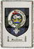 Sanderson Clan Badge Throw Blanket