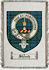 Shiach Clan Badge Throw Blanket