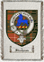 Stenhouse Clan Badge Throw Blanket