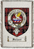 Steuard Clan Badge Throw Blanket