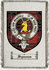 Symons Clan Badge Throw Blanket