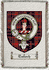 Tulloch Clan Badge Throw Blanket