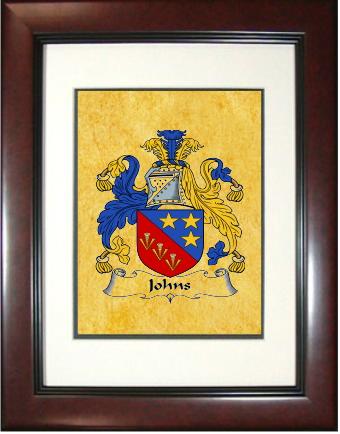 Johns Coat of Arms Framed Print