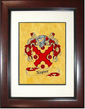Napier Coat of Arms Framed Print