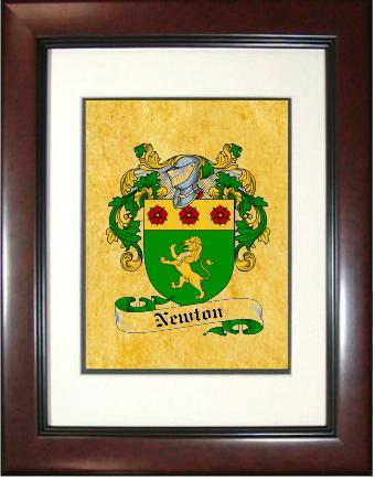 Newton Coat of Arms Framed Print