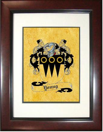 Young Coat of Arms Framed Print