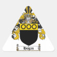 HOGAN FAMILY CREST - HOGAN COAT OF ARMS CLASSIC ROUND STICKER