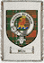 White Clan Macgregor Clan Badge Throw Blanket