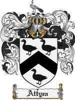 Attyea coat of arms family crest download