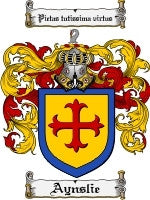 Aynslie coat of arms family crest download