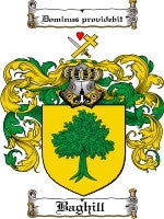Baghill coat of arms family crest download
