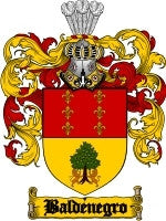 Baldenegro coat of arms family crest download