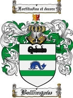 Ballingaw coat of arms family crest download
