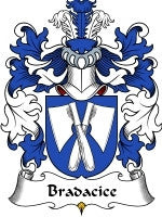 Bradacice coat of arms family crest download