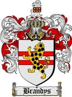 Brandys coat of arms family crest download