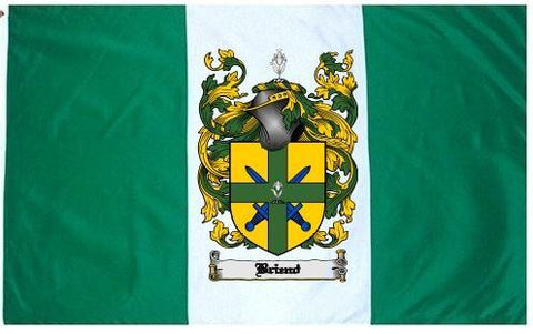 Briend family crest coat of arms flag