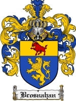 Brosnahan coat of arms family crest download