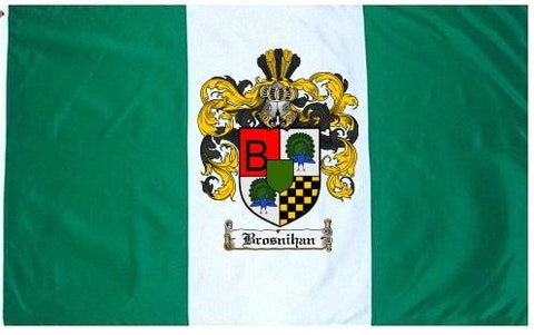 Brosnihan family crest coat of arms flag