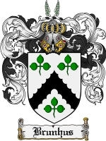 Brunhus coat of arms family crest download