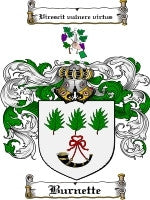 Burnette coat of arms family crest download