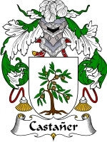 Castaner coat of arms family crest download