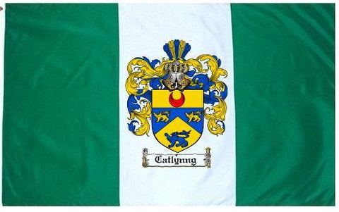 Catlyng family crest coat of arms flag