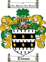 Eleam coat of arms family crest download