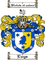 Enys coat of arms family crest download