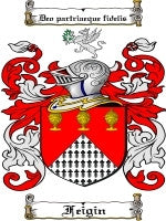 Feigin coat of arms family crest download