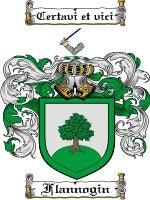 Flannogin coat of arms family crest download