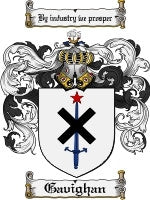 Gavighan coat of arms family crest download