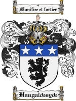 Hangaldesyde coat of arms family crest download
