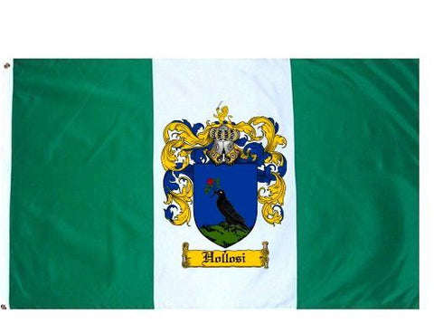 Hollosi family crest coat of arms flag