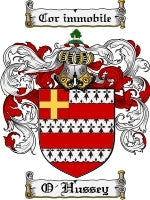 O'Hussey coat of arms family crest download