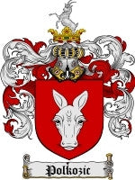 Polkozic coat of arms family crest download