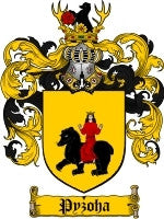 Pyzoha coat of arms family crest download
