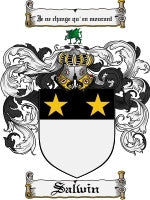 Salwin coat of arms family crest download